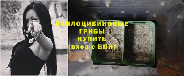 гидропоника Новозыбков