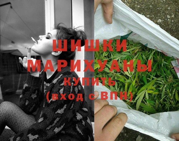молекула духа Новокубанск