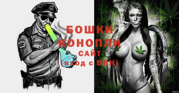 молекула духа Новокубанск
