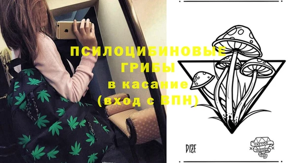 молекула духа Новокубанск