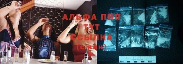 Альфа ПВП Новодвинск