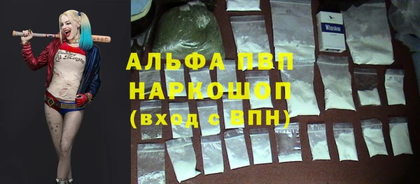 молекула духа Новокубанск