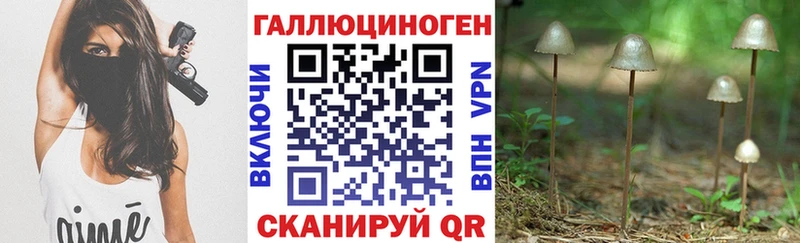 Псилоцибиновые грибы ЛСД  наркошоп  Новозыбков 