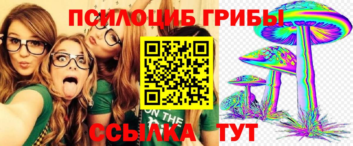 Новозыбков  Галлюциногенные грибы мицелий  Вход с VPN 